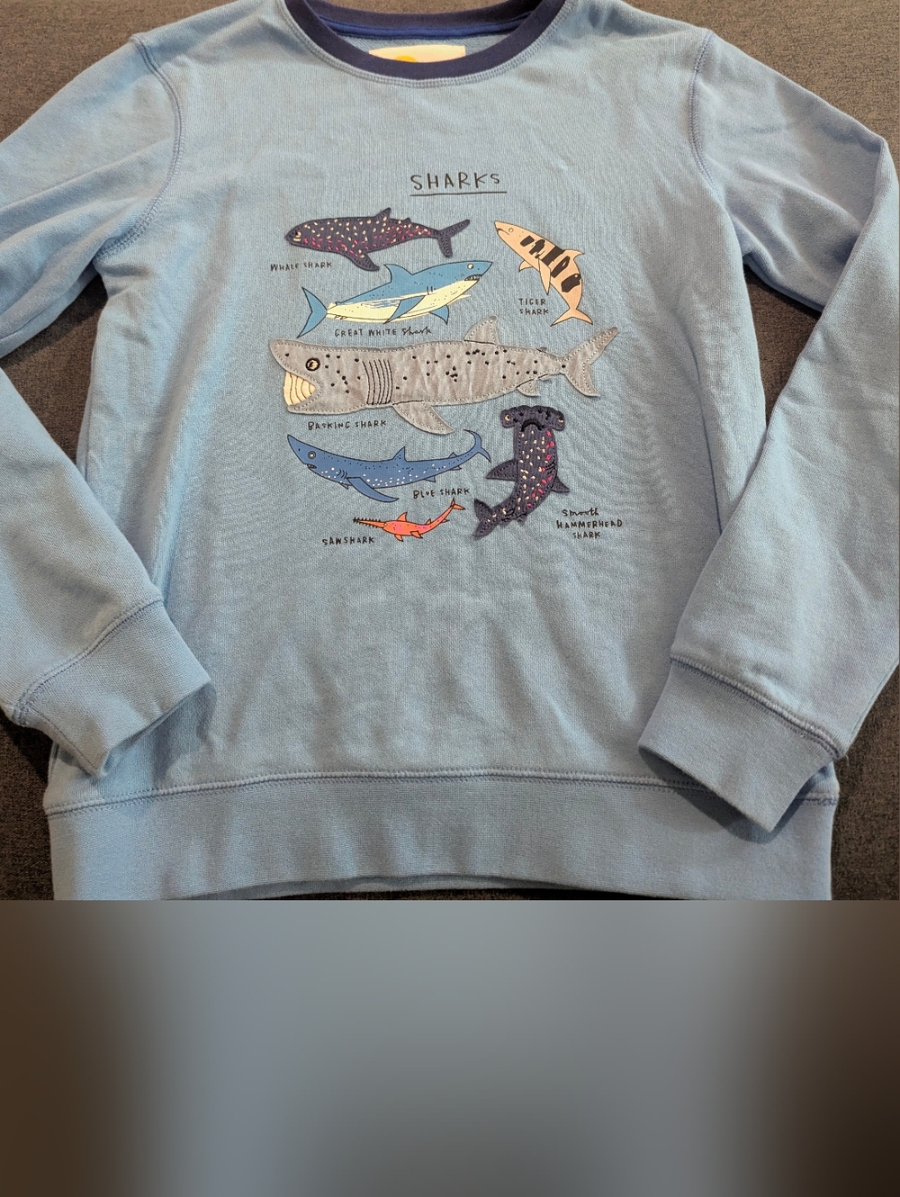 Mini Boden Blue Crewneck Shark Sweatshirt